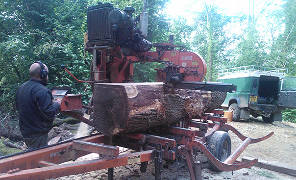 Milling oak at Milborne Wick, Dorset.